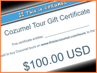 Cozumel Tour Gifts