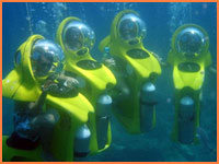 Cozumel mini submarine tours