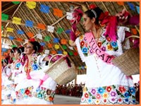 Cozumel events